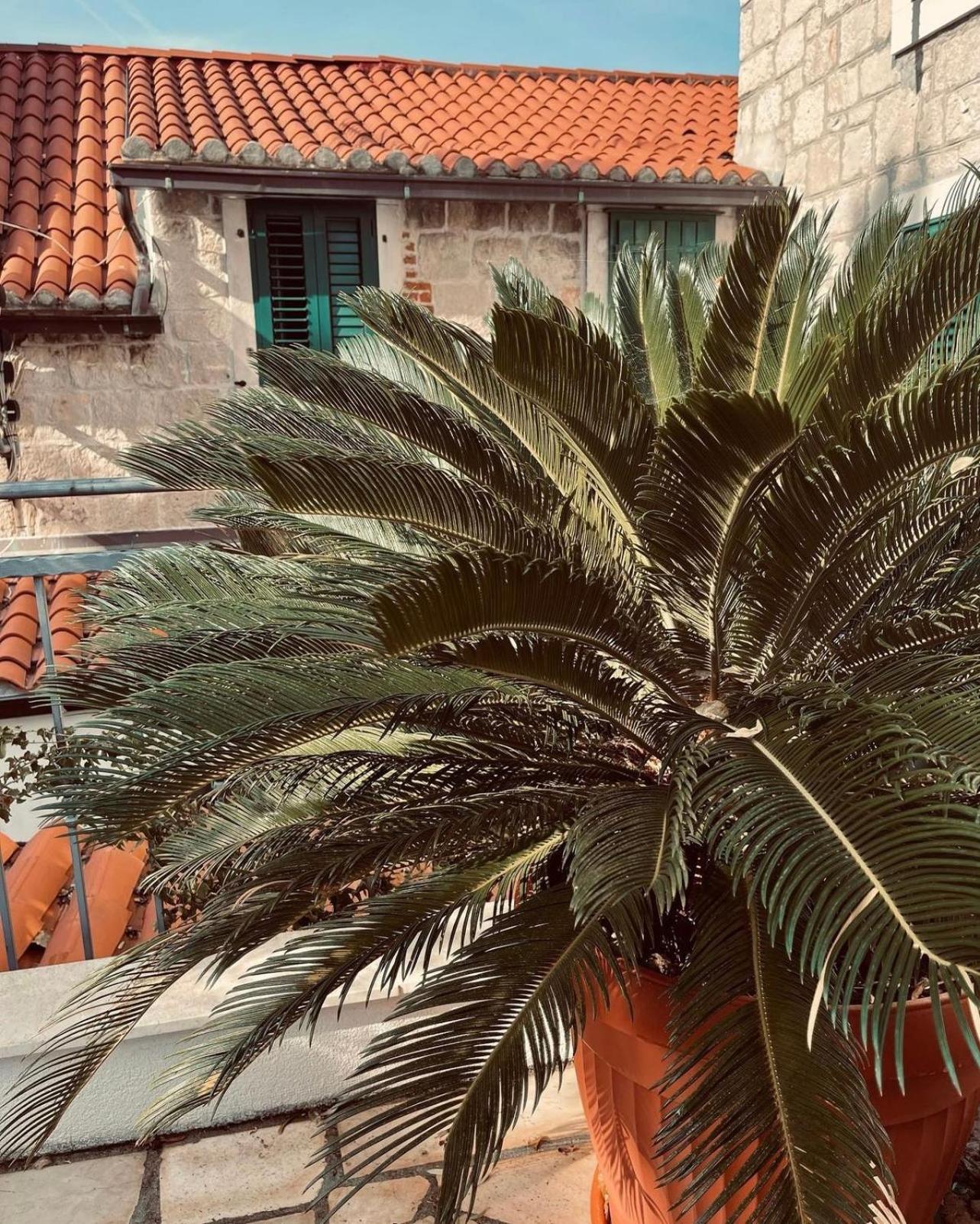 Villa Saint Lucas Split Ngoại thất bức ảnh